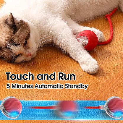 Interactive Pet Toy Ball – Auto-Rolling, Self-Moving Play Ball for Cats & Dogs