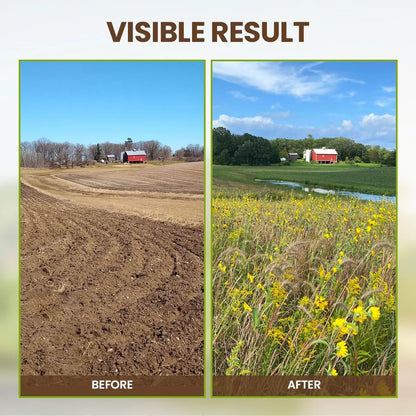 Soil Pro Activator – Boost Plant Growth & Improve Soil Health Naturally