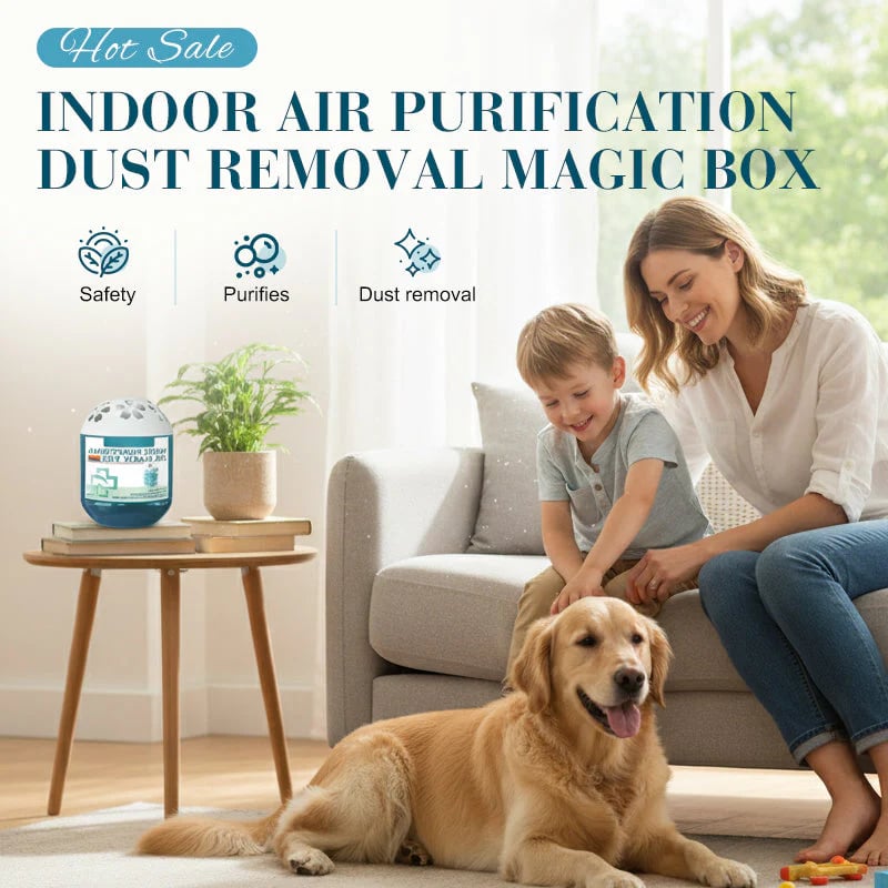 2026 Upgraded Indoor Air Purification Dust Removal Magic Box