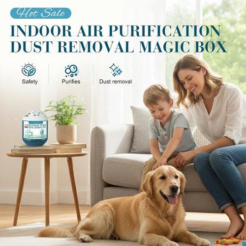 2026 Upgraded Indoor Air Purification Dust Removal Magic Box