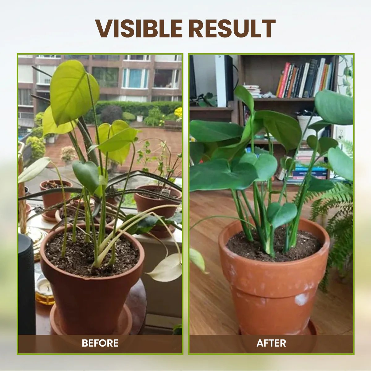 Soil Pro Activator – Boost Plant Growth & Improve Soil Health Naturally