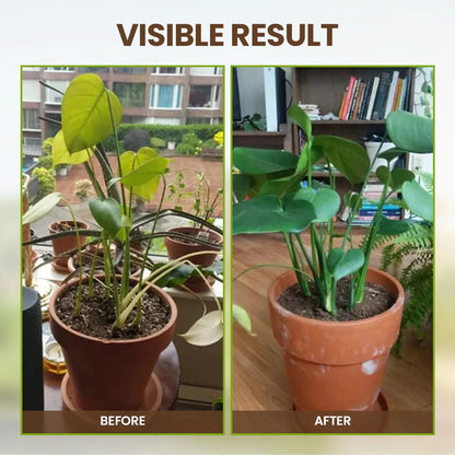 Soil Pro Activator – Boost Plant Growth & Improve Soil Health Naturally