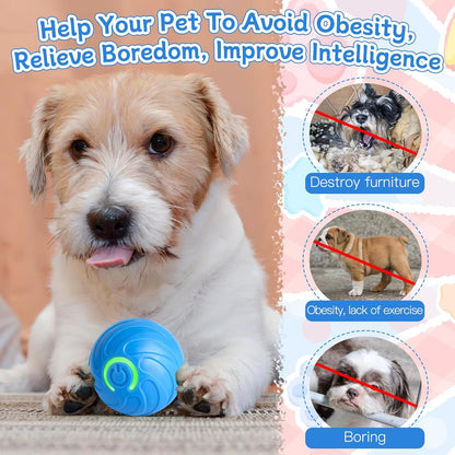 Interactive Automatic Dog Toy Ball – USB Rechargeable, Self-Rolling & Keeps Dogs Active