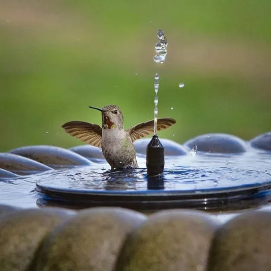 Solar Bird Bath Fountain Pump – 4 Interchangeable Nozzles for Garden & Outdoor